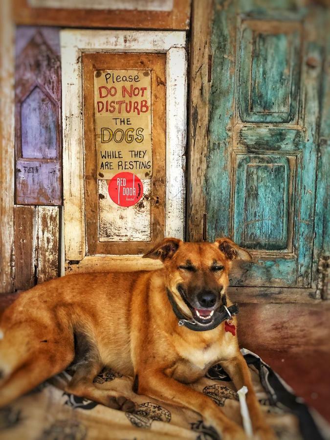 Red Door Hostel Anjuna Εξωτερικό φωτογραφία